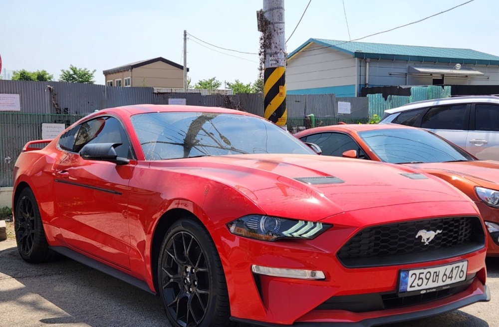 Ford mustang