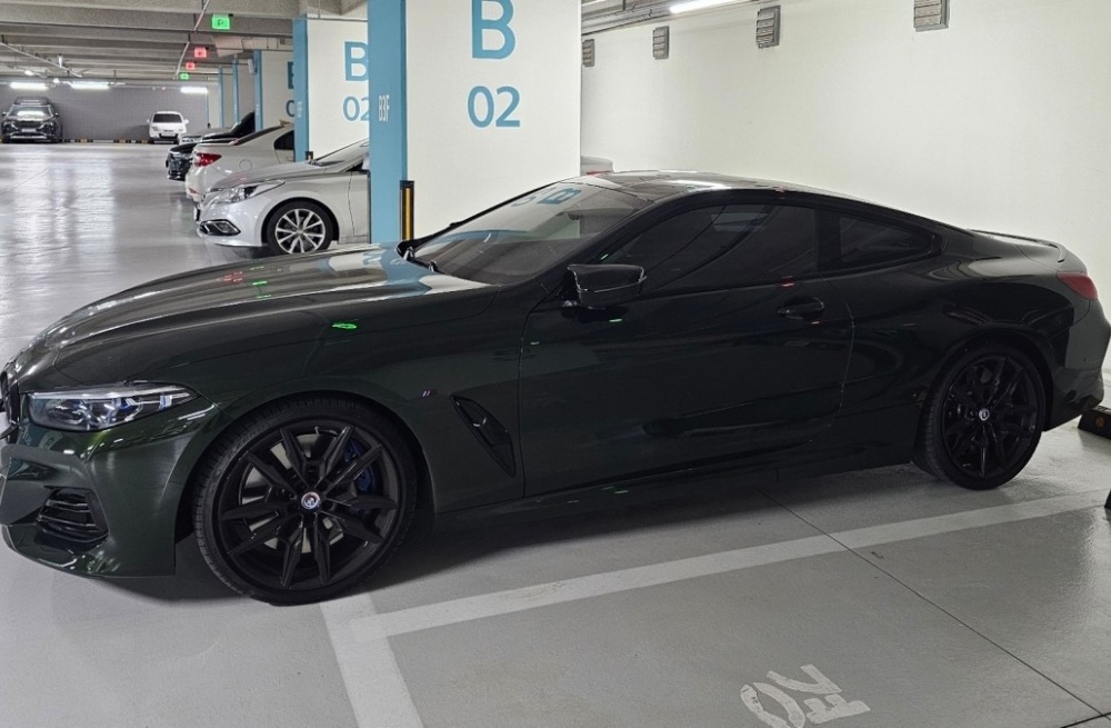 BMW 8 Series (G15)