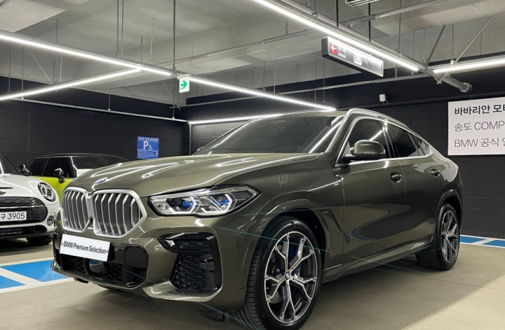 BMW X6 (G06)