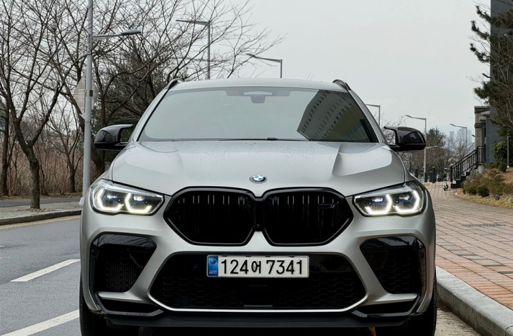 BMW X6M (G06)