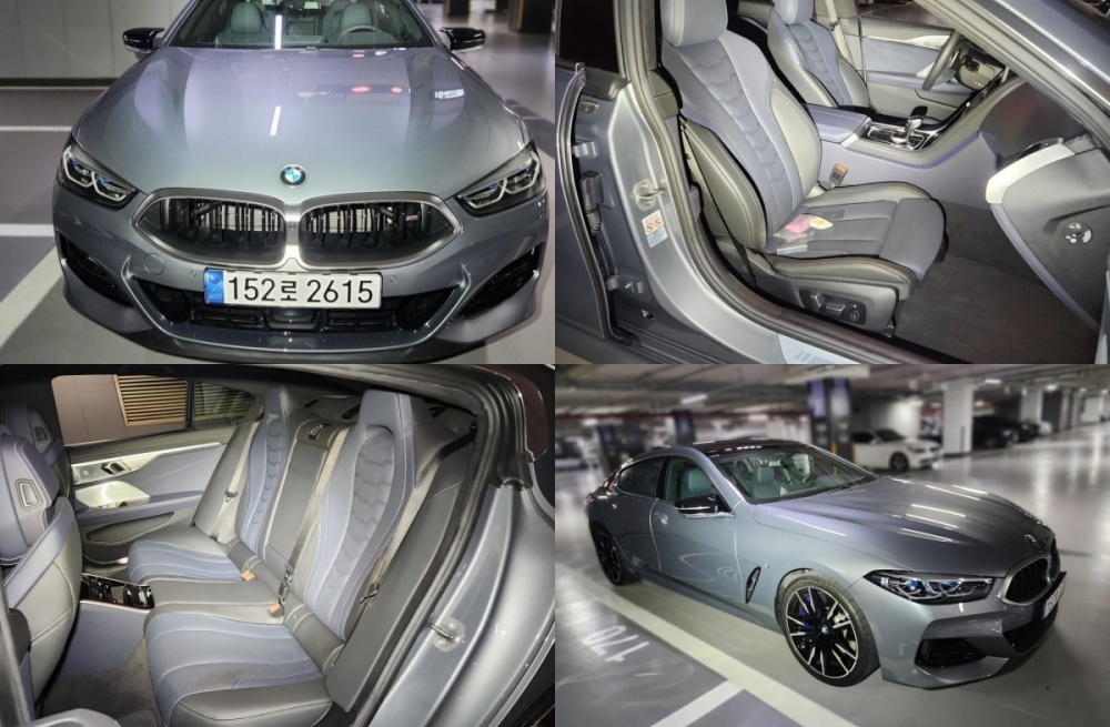 BMW 8 Series (G15)