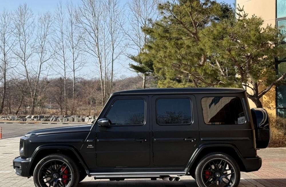 Mercedes-Benz G-Class W463b