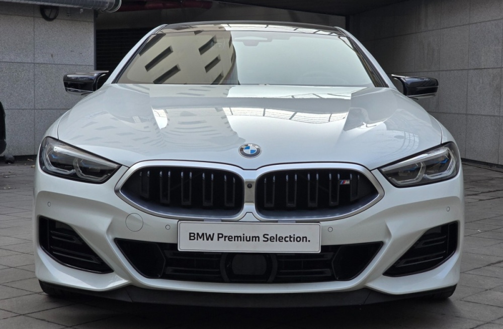 BMW 8 Series (G15)