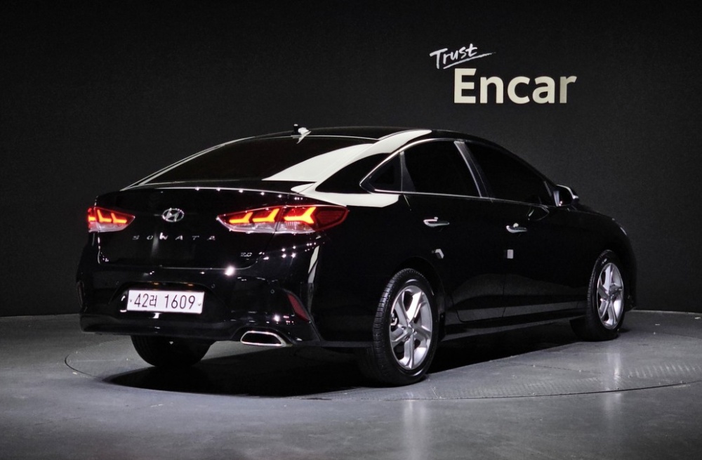 Hyundai sonata new rise