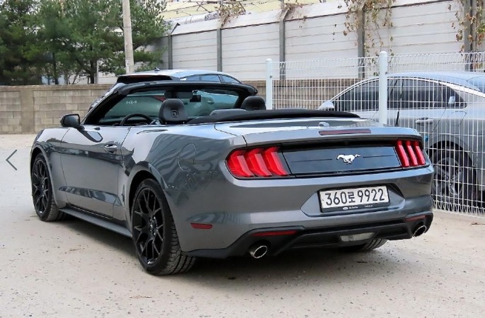 Ford mustang