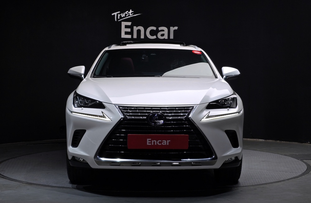 Lexus NX300h