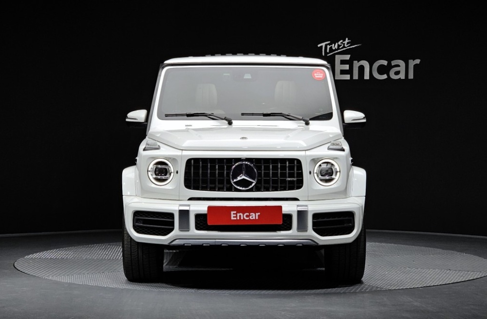 Mercedes-Benz G-Class W463b