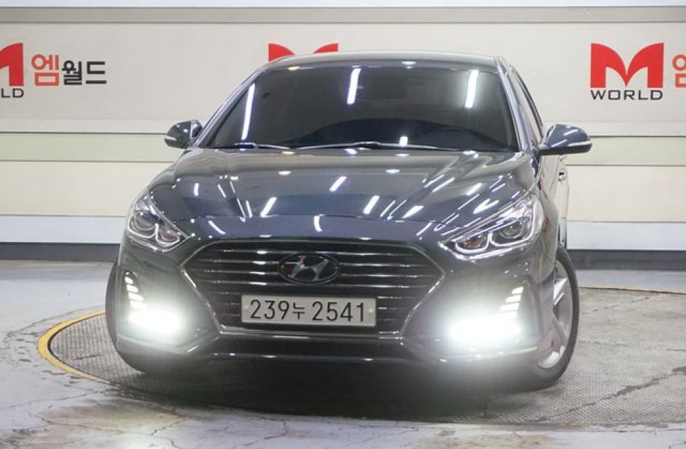 Hyundai sonata new rise