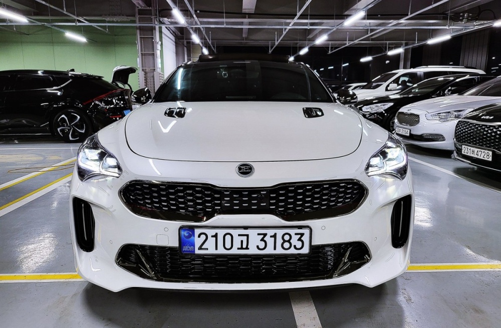 Kia Stinger Meister