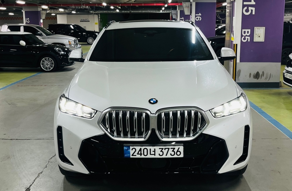 BMW X6 (G06)