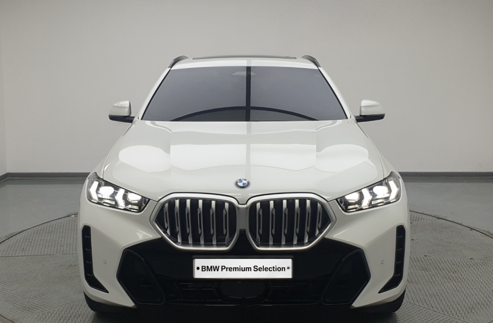 BMW X6 (G06)