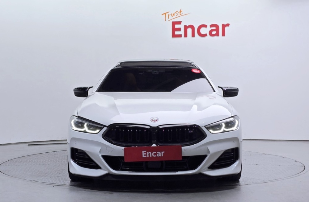 BMW 8 Series (G15)