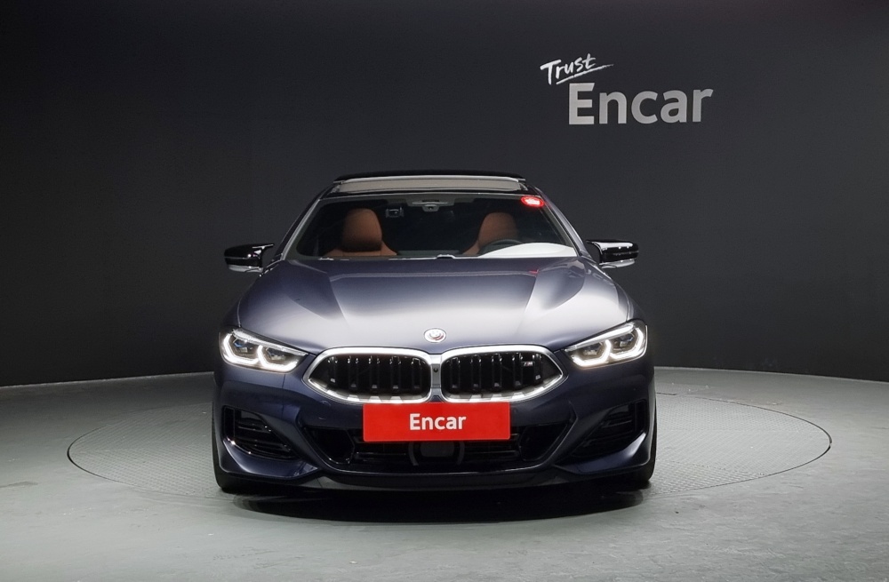 BMW 8 Series (G15)