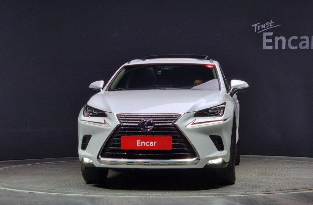 Lexus NX300h