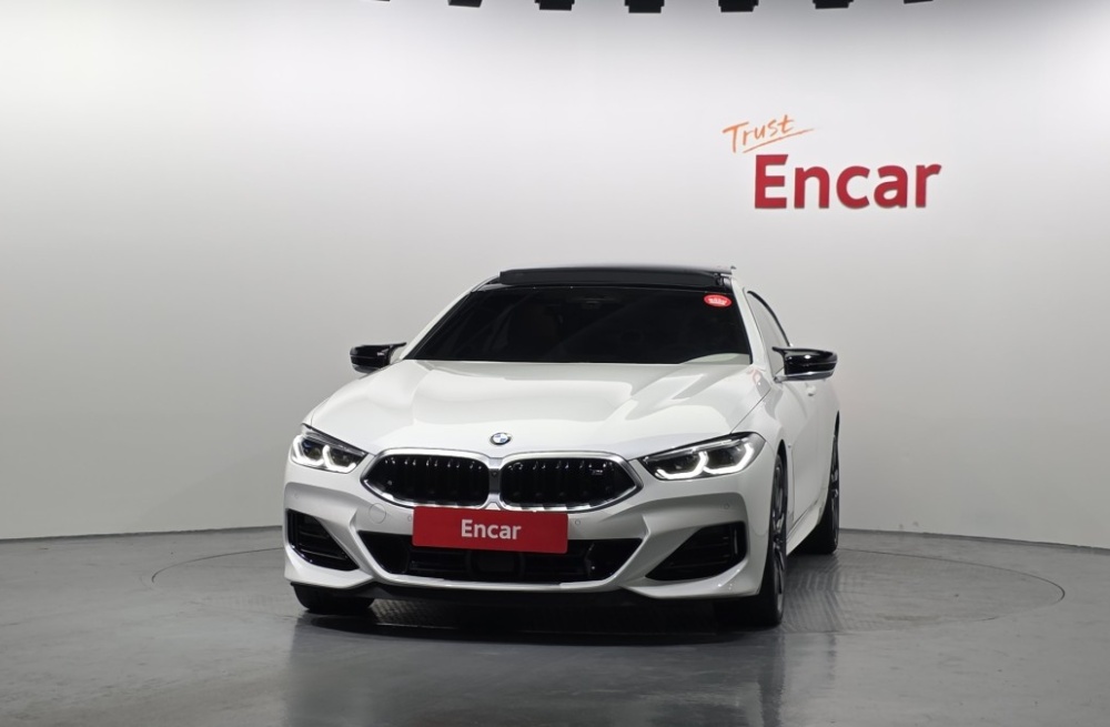 BMW 8 Series (G15)