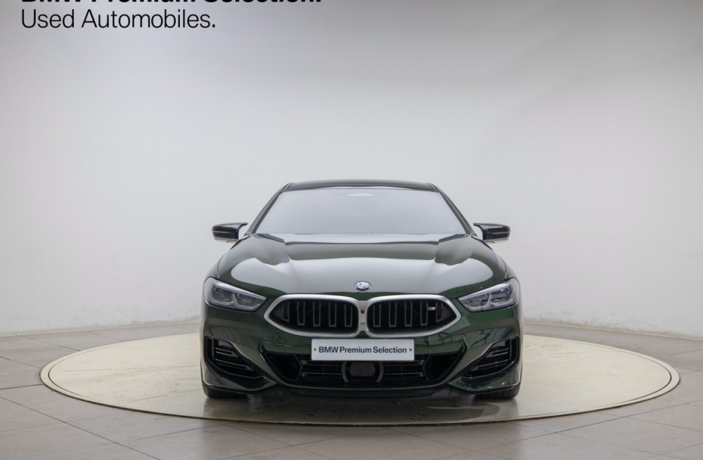 BMW 8 Series (G15)