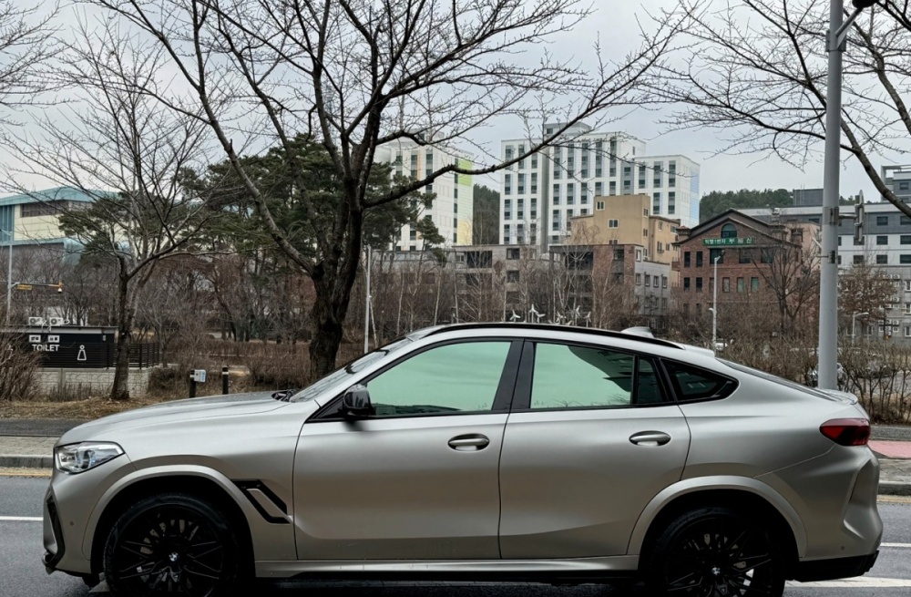 BMW X6M (G06)