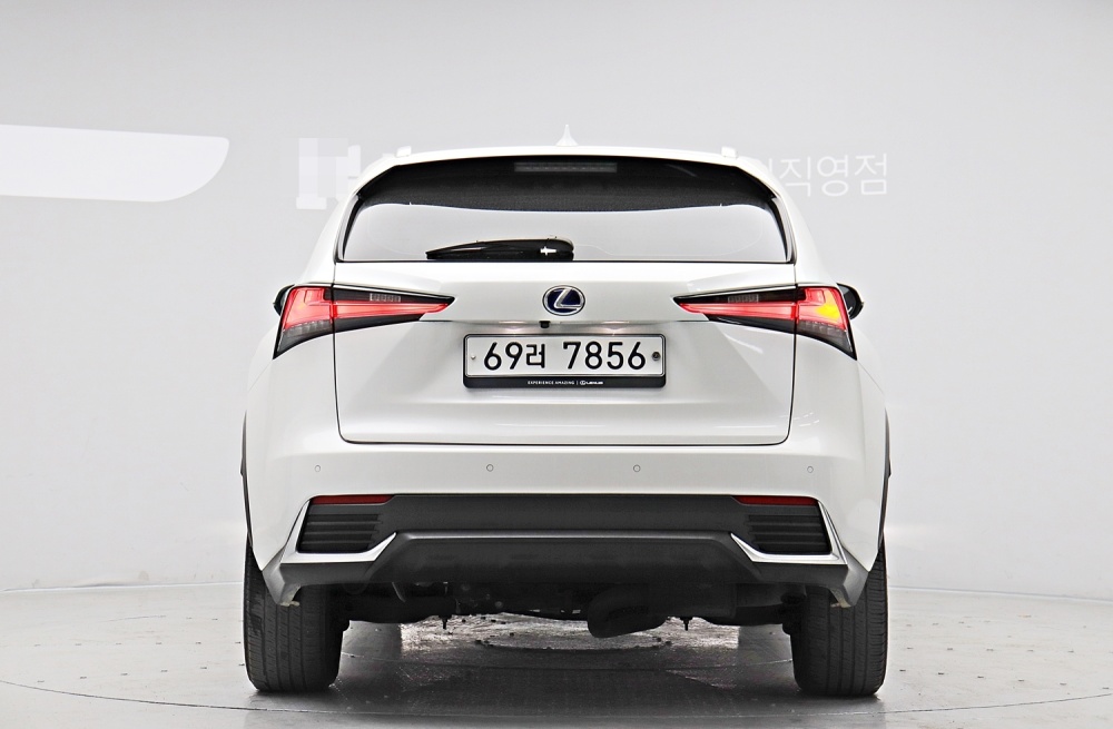 Lexus NX300h