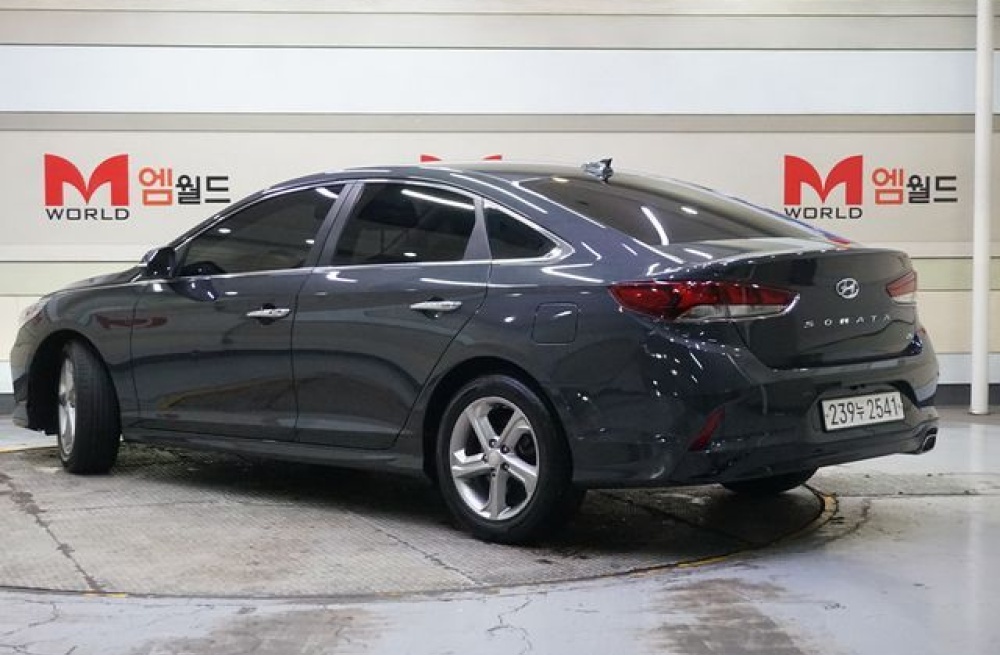 Hyundai sonata new rise