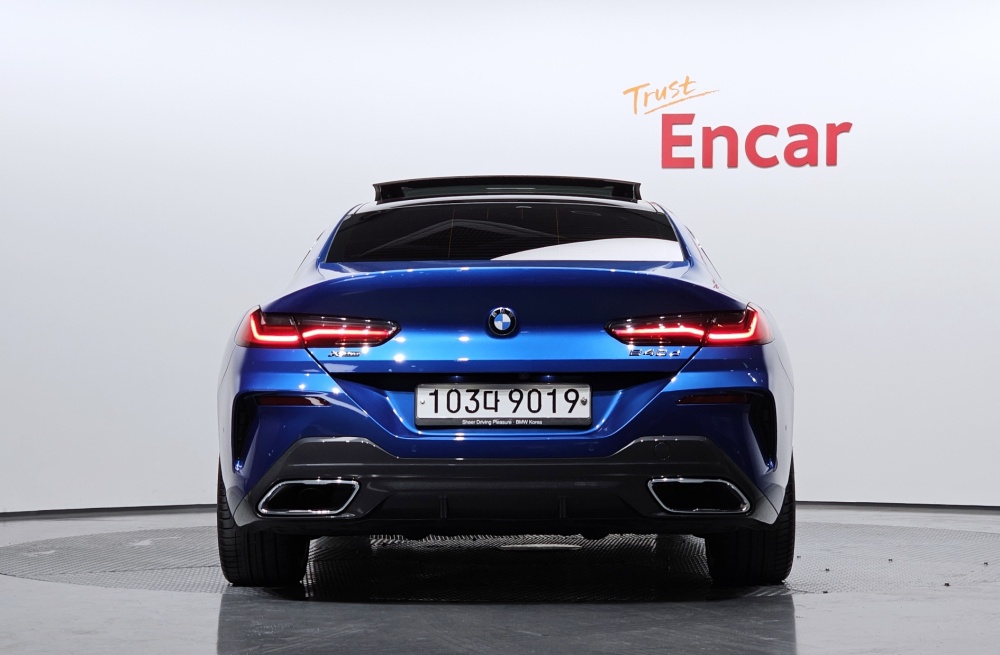 BMW 8 Series (G15)