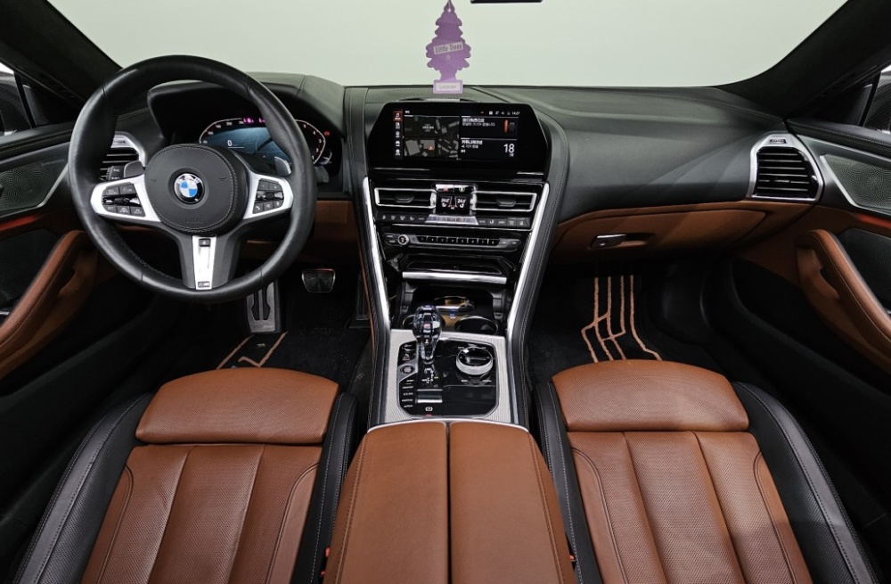 BMW 8 Series (G15)