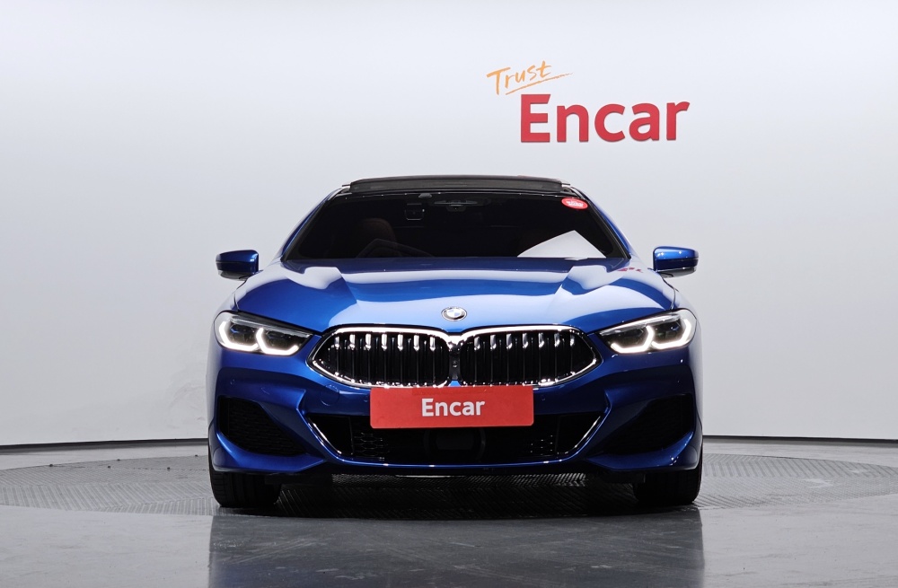 BMW 8 Series (G15)