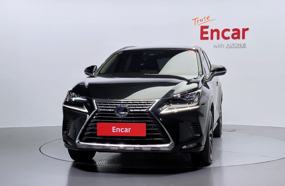 Lexus NX300h