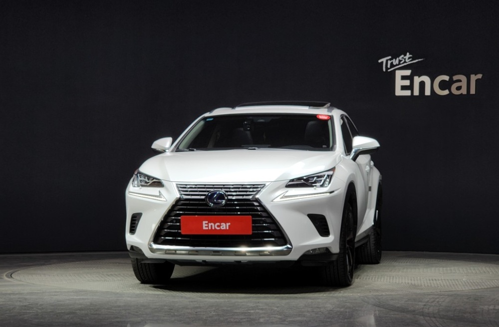 Lexus NX300h