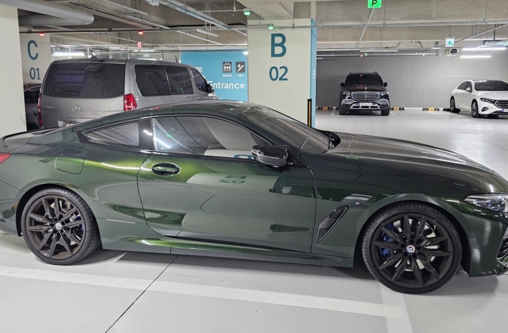 BMW 8 Series (G15)